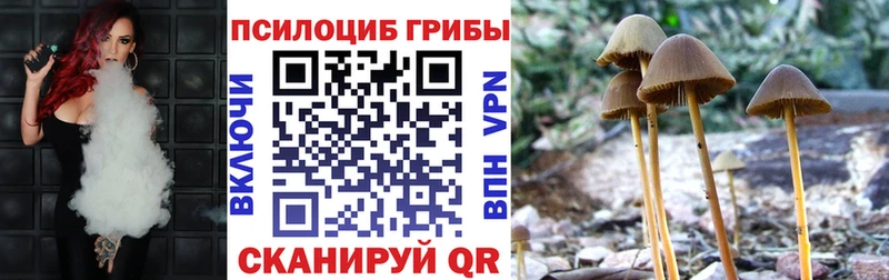 где купить наркоту  Поронайск  Псилоцибиновые грибы MAGIC MUSHROOMS 